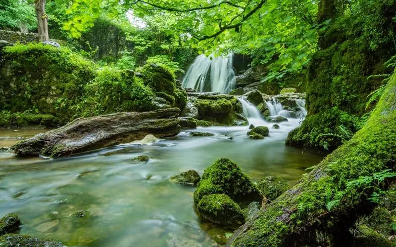 高端智能系统全自动